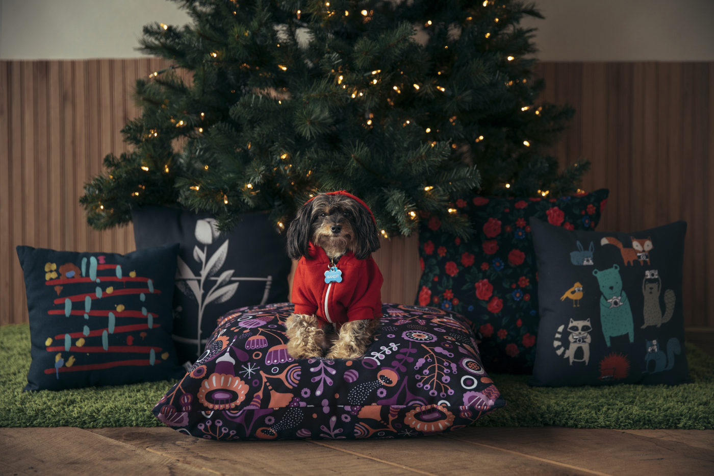 Make Your Lifestyle Photography Festive for the Holidays