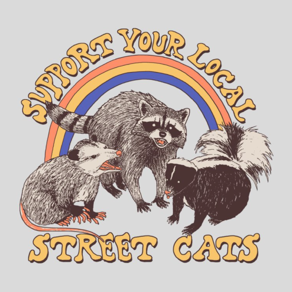 "Street Cats" by Hillary White Rabbit