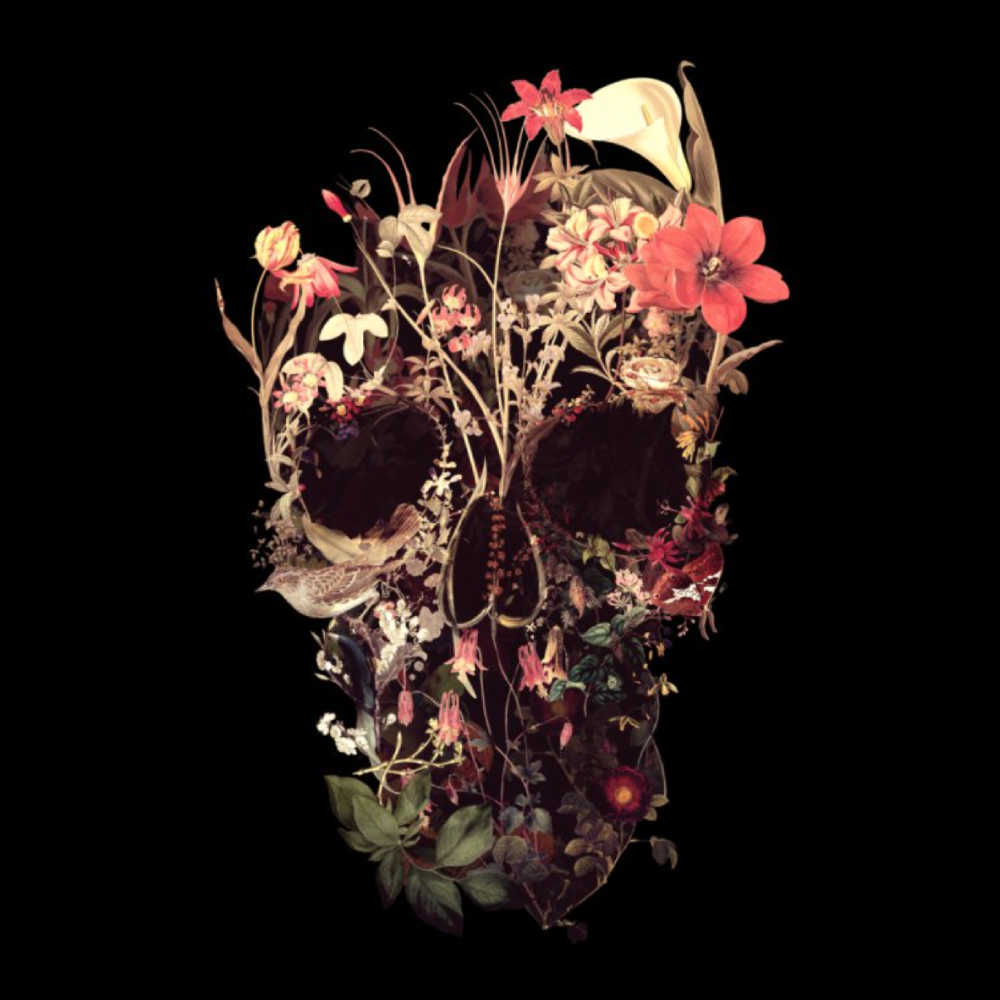 "Bloom Skull" by ikiiki-AliGulec