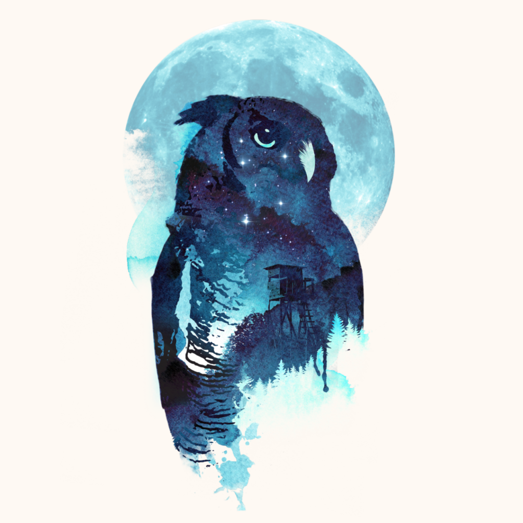 “Midnight Owl” by Astro Naut